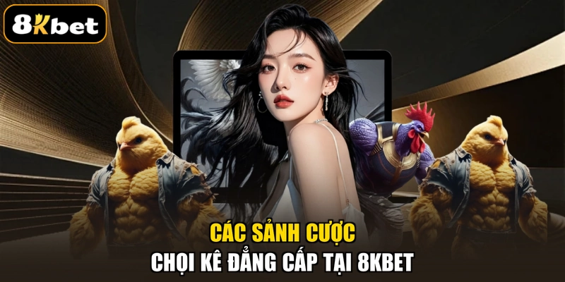 Các sảnh cược chọi kê đẳng cấp tại 8KBET