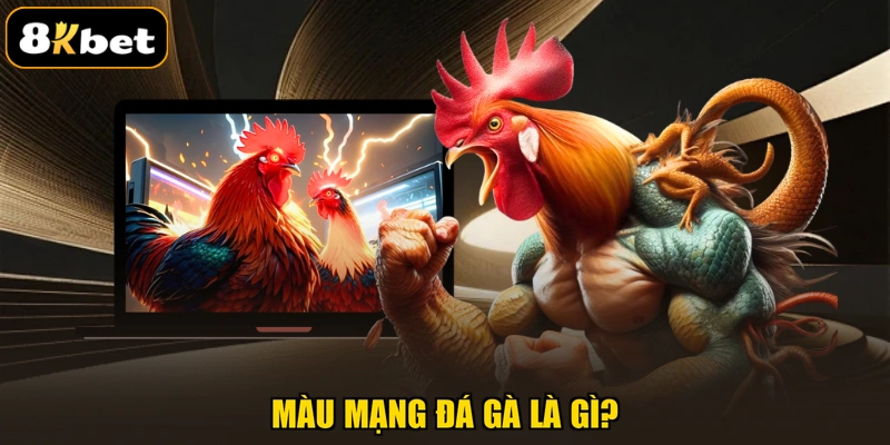 Màu mạng đá gà là gì?